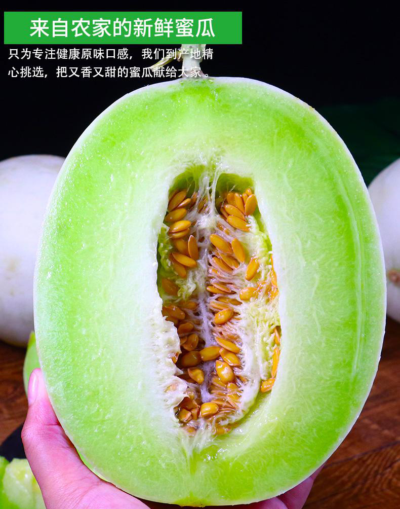 玉菇甜瓜 详情图 2