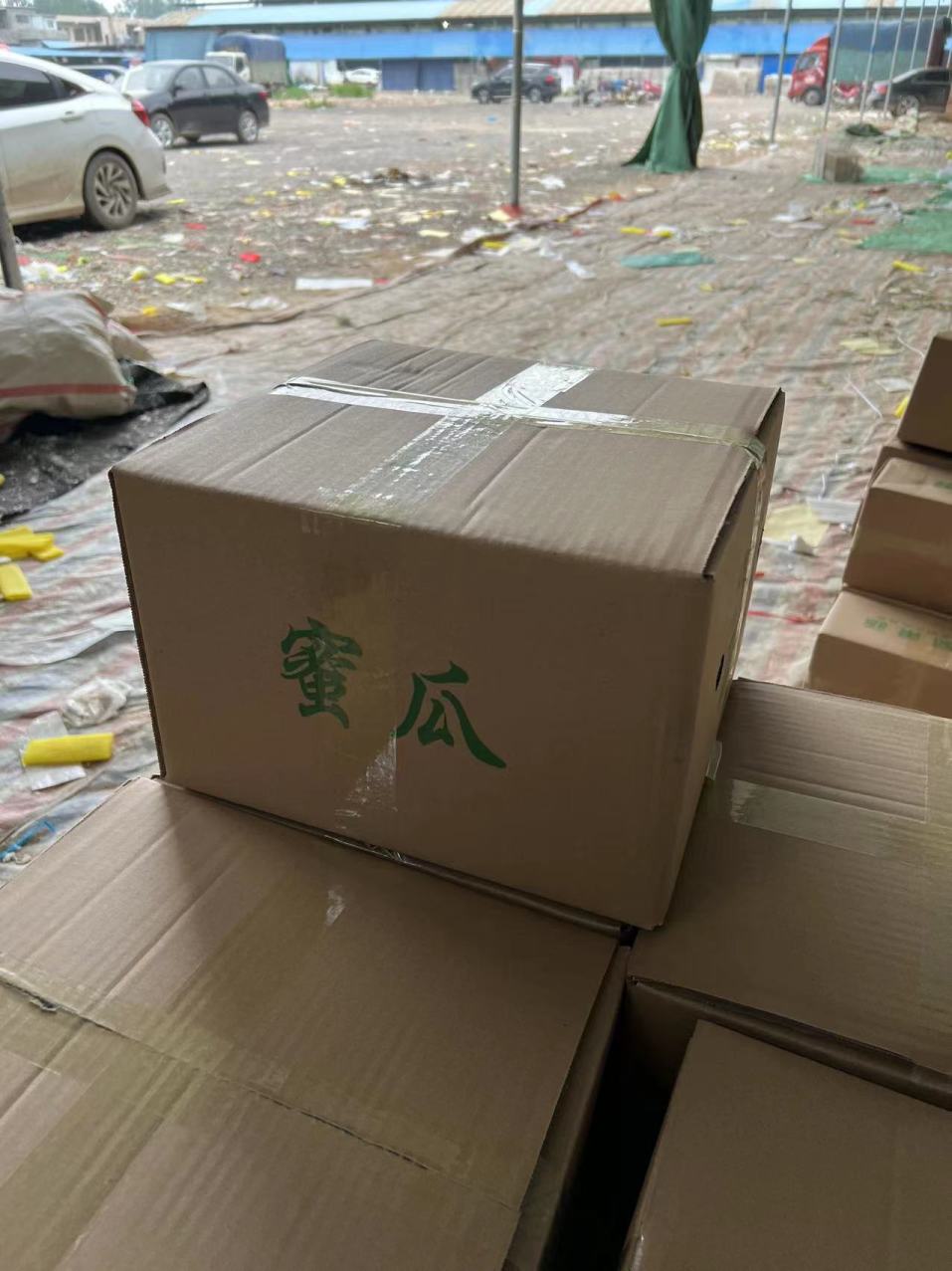 玉菇甜瓜 详情图 8